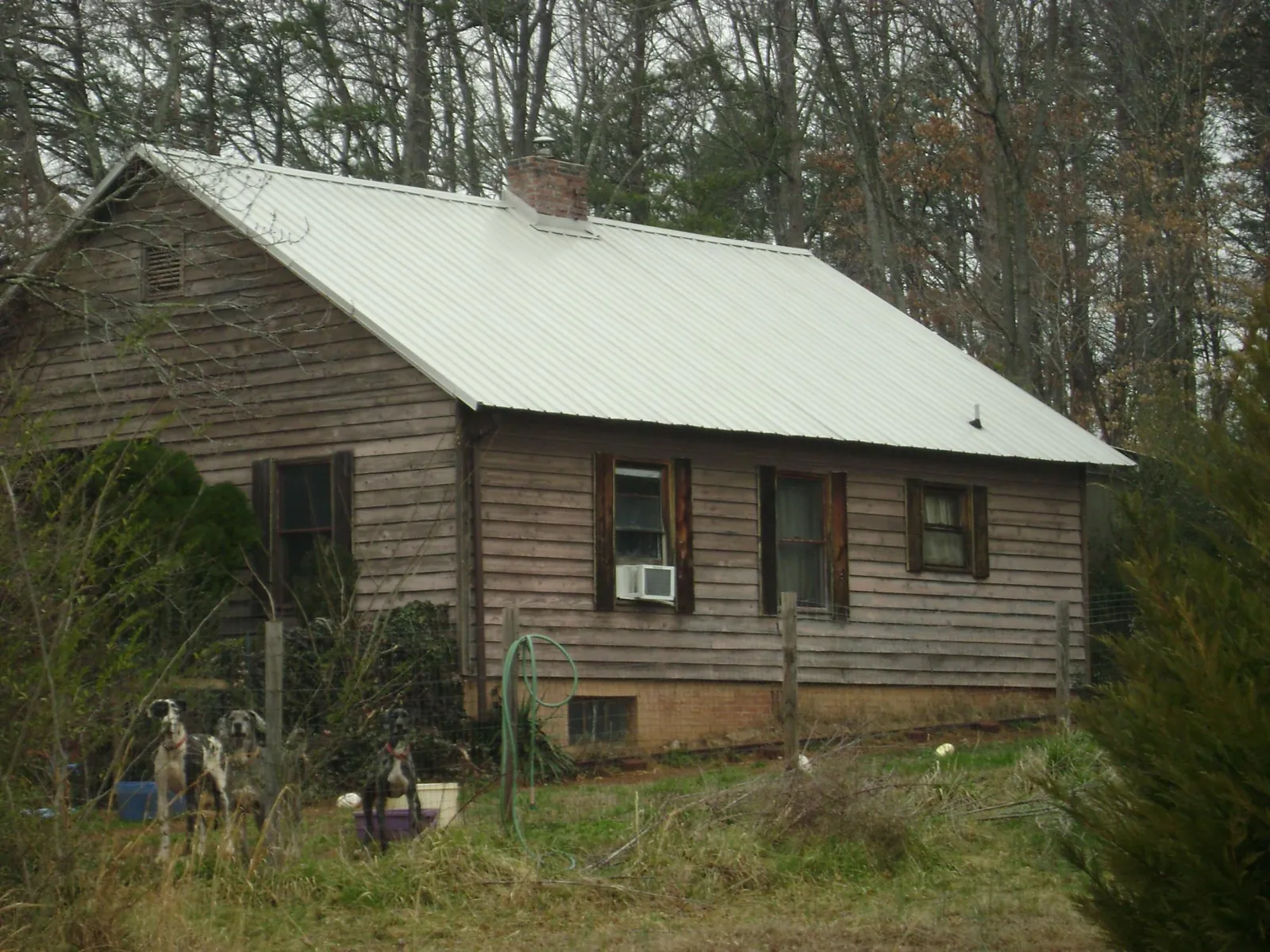 White metal roof on an old wood sided farmhouse, from a Metal Roof Installation job in Skykomish